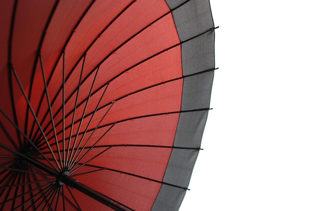 Mastering Wireframing: Essential Techniques for Effective UX Design Projects