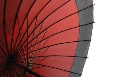 Essential Guide to Low-Fidelity Wireframes: Boost Your Design Process