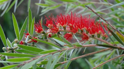 Mastering High-Fidelity Wireframes: Essential Tips for Design Success Today