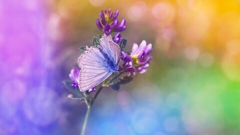 Mastering Color Theory in UI: Elevate Your Design Skills Today