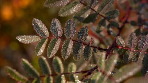 Achieving Design Consistency: Key Strategies for Cohesive Brand Identity