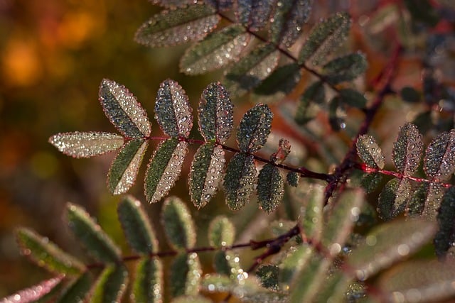 Achieving Design Consistency: Key Strategies for Cohesive Brand Identity